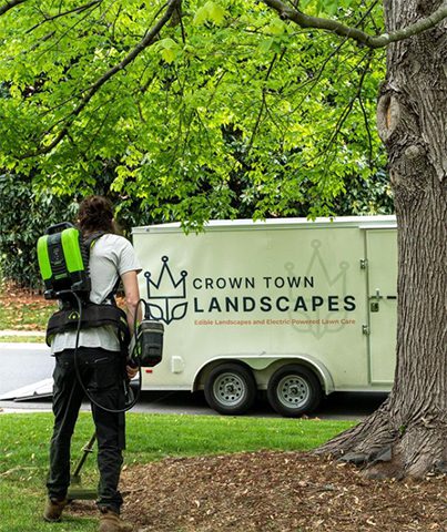 Crown Town Landscapes Crown Town Landscapes